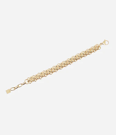 BRACELET Dame AXELLE acier doré ZAG SBS23294-01UNI